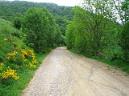 20050528134613-Pablete- 009_redimensionar.jpg