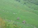 20050528141311-Pablete- 013_redimensionar.jpg
