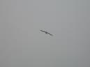 20050528142423-P1000329_redimensionar.JPG