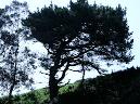 20070506120316-Cristian.jpg
