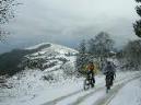 20050226121549-fot8.jpg