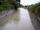 20070603114456-Cristian.jpg