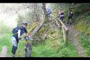 20100417132314_byBlueTomatea.jpg