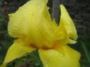 20080531103929_byRuben.jpg