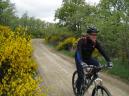 20080531111355_byRuben.jpg