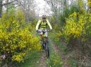 20080531111640_byRuben.jpg