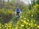 20080531111701_byRuben.jpg
