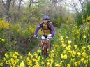 20080531111706_byRuben.jpg