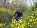 20080531111714_byRuben.jpg