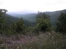 20100514201607.JPG