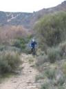 20070406151740-Sanabria40.JPG