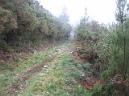 20061112102336-12-11-2006 Santalla 001.jpg
