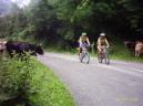20040718104234-fot2.JPG