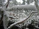 20060128122901-DSCN4619.JPG