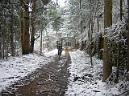 20060128122941-DSCN4622.JPG
