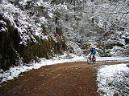 20060128123201-DSCN4623.JPG