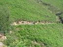 20060610111501-by_pablo 014.jpg