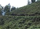 20060610111544-by_pablo 016.jpg