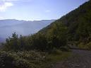 20070818101350-DSC00429.jpg