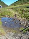 20070901113454-byPau.JPG