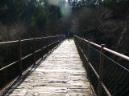 20090214150621_ByPau.jpg