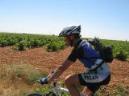 20070729133842-byJuanjo.jpg