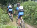 15_la_salida_del_bosque