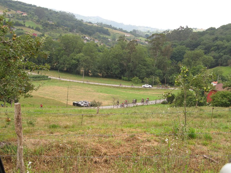 20230722-125300_jmarin.jpg