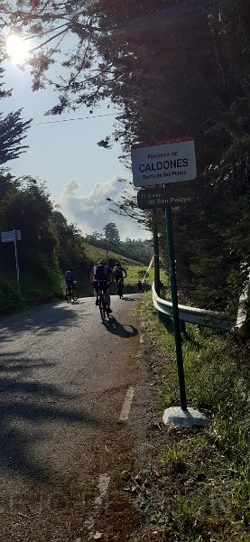 20230722-100423_yoli.jpg