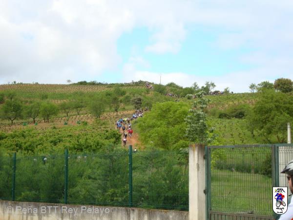 20100508112327.JPG