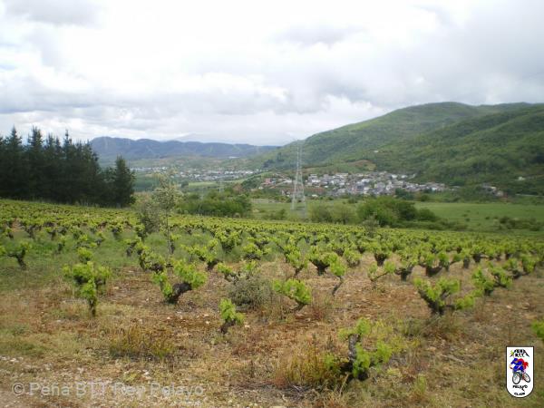 20100508124725.JPG