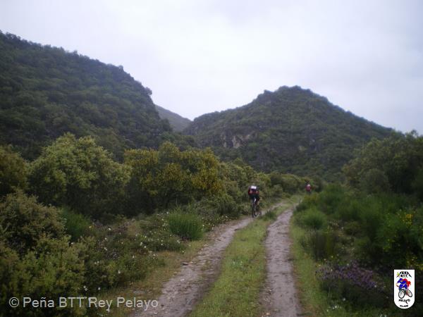 20100508173203.JPG