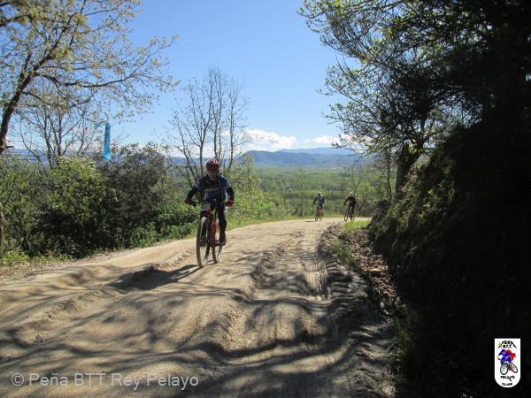20160430094013-Marino.JPG
