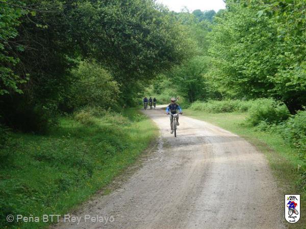 20080524124015_byTino47.jpg
