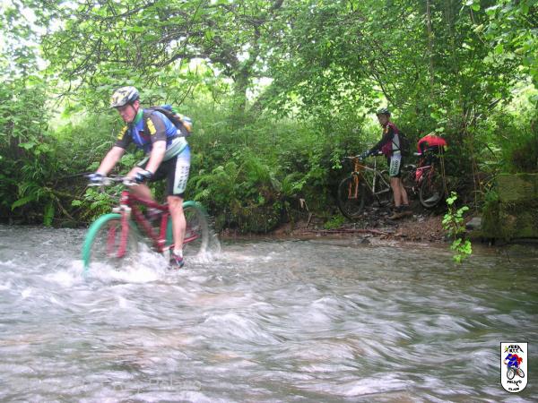 20040529123837-fot9.jpg
