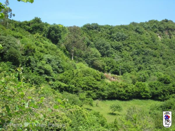 20140705125253.JPG