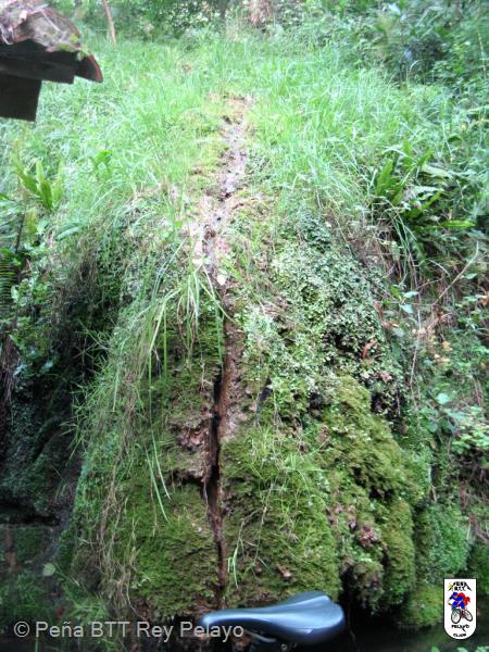 20110810200825.JPG