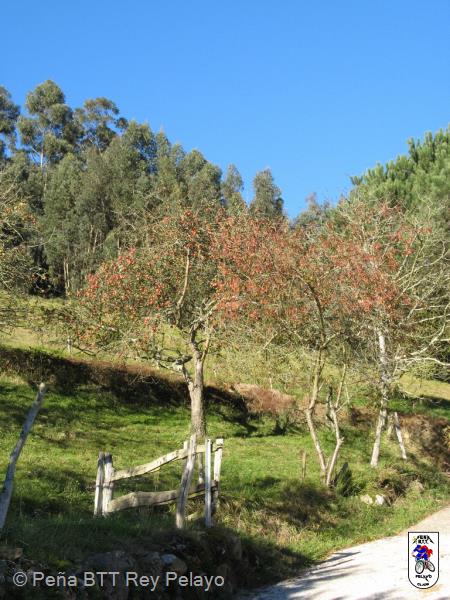 20071117152634juanjo.JPG