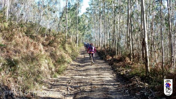 20110305105609.JPG