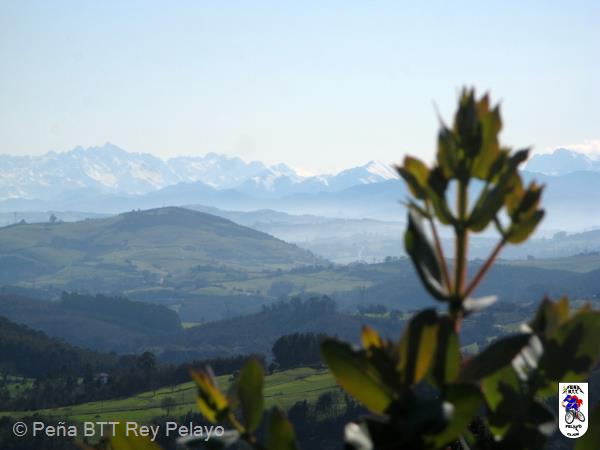 20110305110108.JPG
