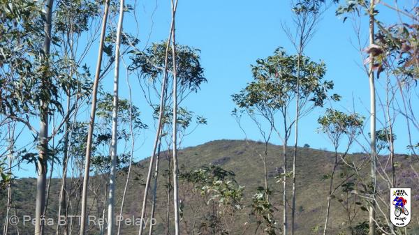 20110305110905.JPG