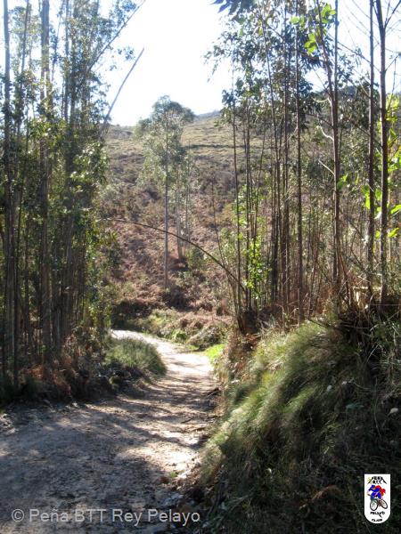 20110305111606.JPG