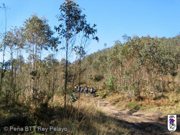 20110305111803.JPG