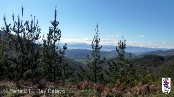 20110305113515.JPG