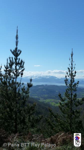 20110305113533.JPG