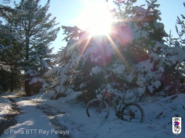 20090109155551_byAgus.jpg
