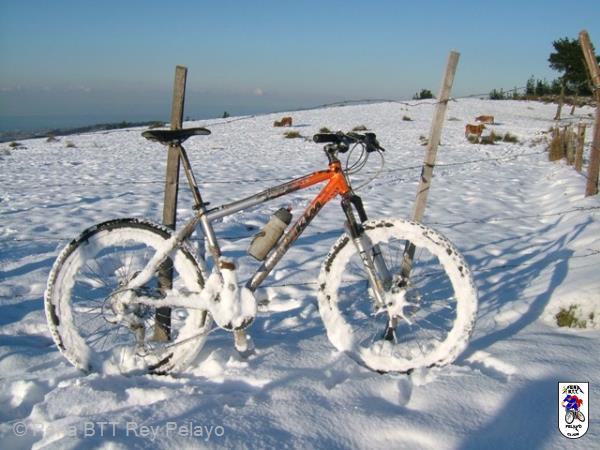 20090109163637_byAgus.jpg