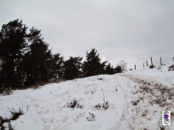 20150208141557.JPG
