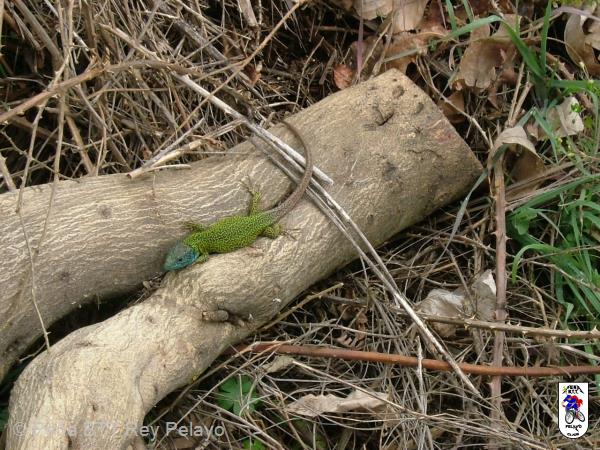 20090407150108_byAgus.jpg