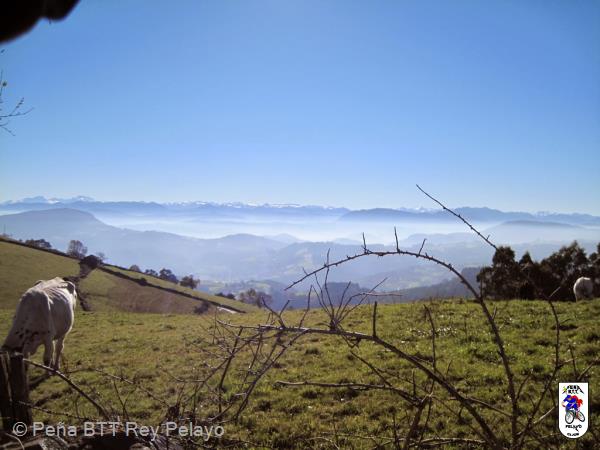 20131207130026.JPG